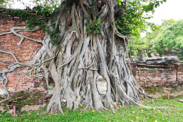 Ayutthaya