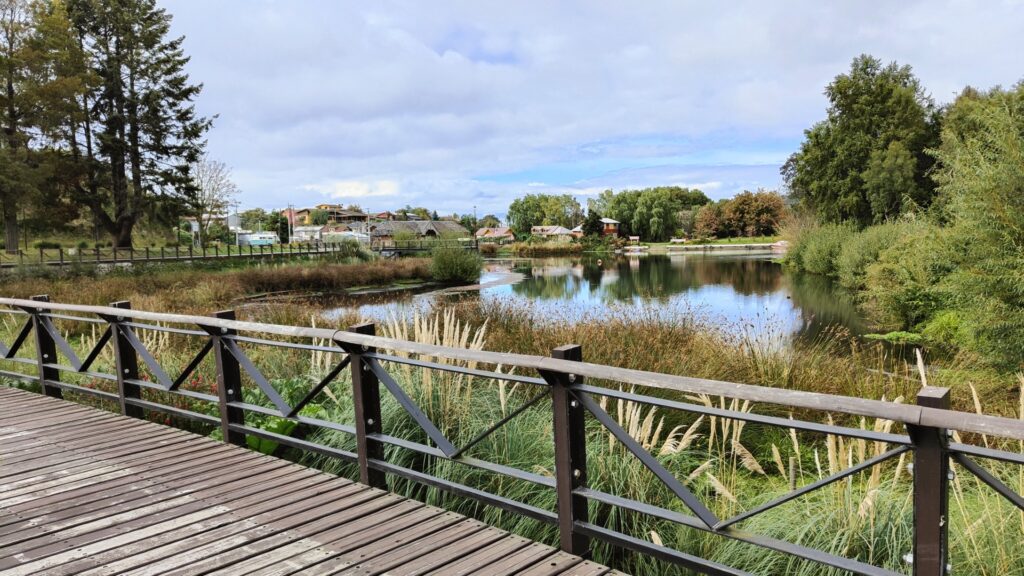 Costanera. Puerto Octay