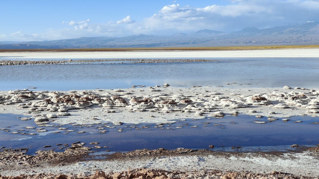 Laguna de Tebenquiche