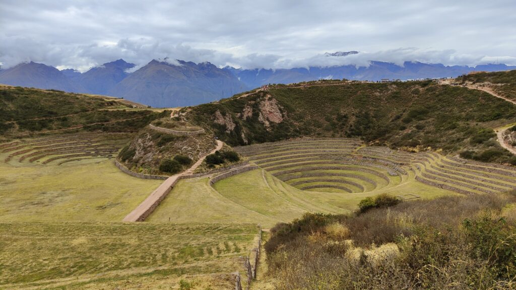 Moray